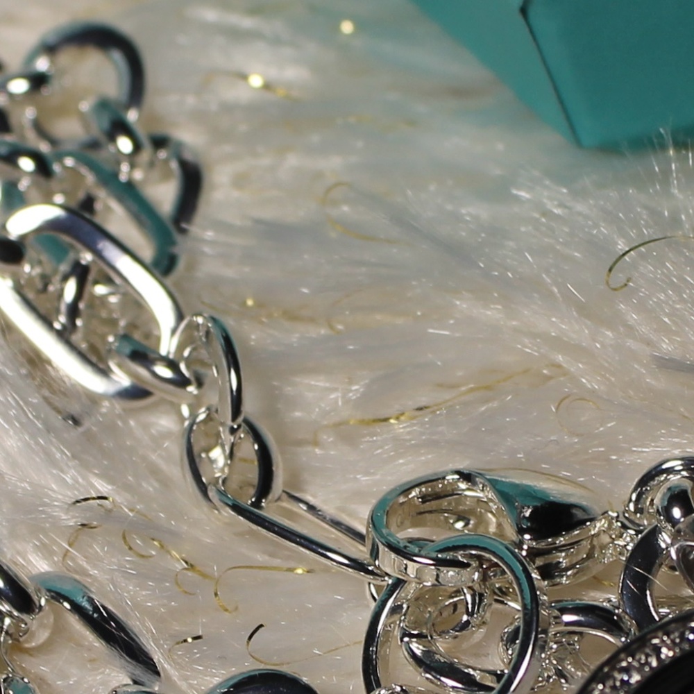 Thick Long Silver Chain Necklace